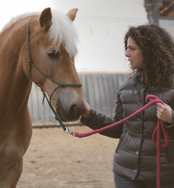 femme à côté d'un cheval